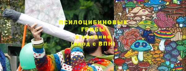 спиды Арсеньев
