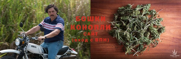 спиды Арсеньев