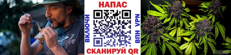 купить наркотики цена  shop состав  Шишки марихуана сатива  Пролетарск 